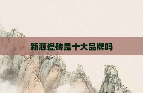 新源瓷砖是十大品牌吗