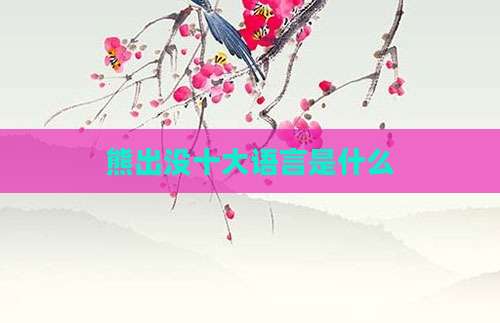 熊出没十大语言是什么