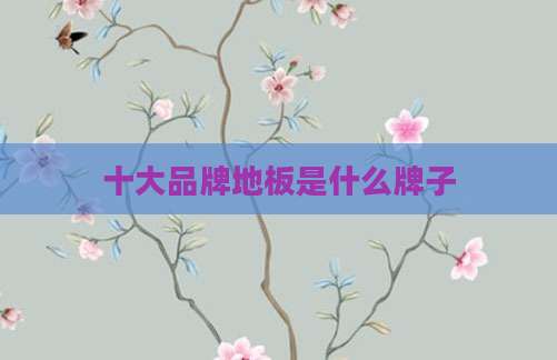 十大品牌地板是什么牌子
