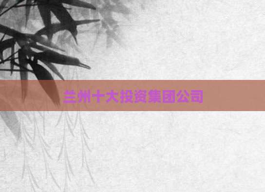 兰州十大投资集团公司