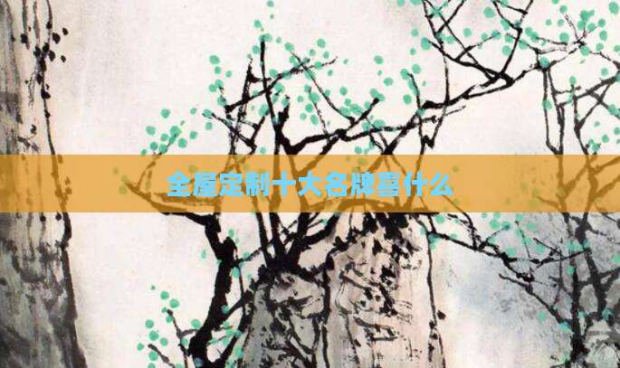 全屋定制十大名牌喜什么