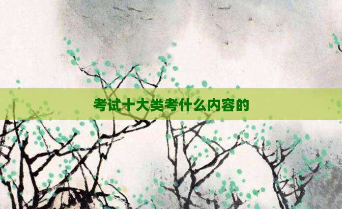考试十大类考什么内容的