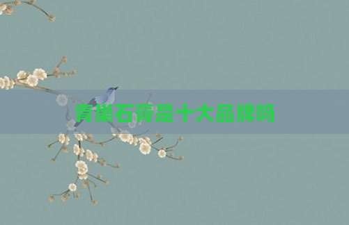 青巢石膏是十大品牌吗
