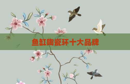 鱼缸陶瓷环十大品牌
