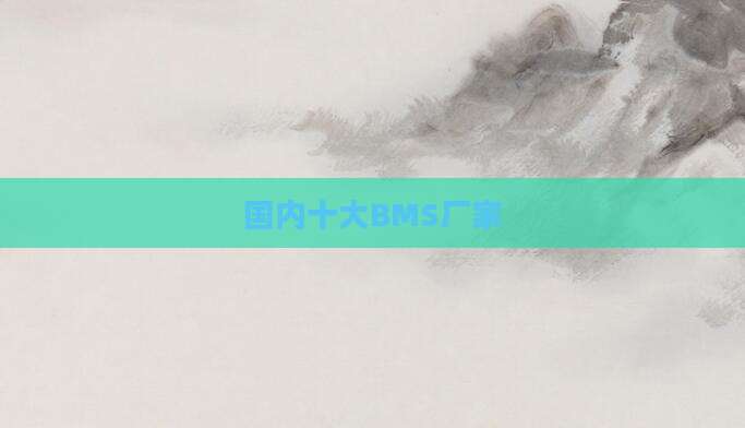 国内十大BMS厂家