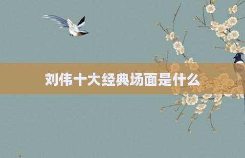 刘伟十大经典场面是什么