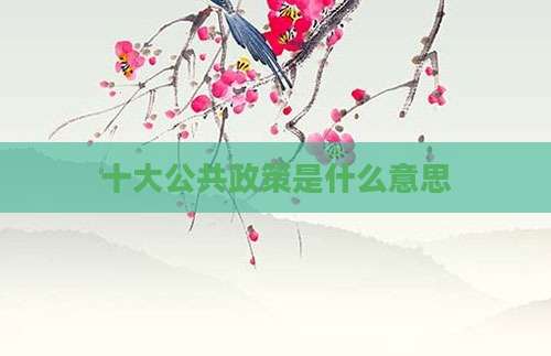 十大公共政策是什么意思