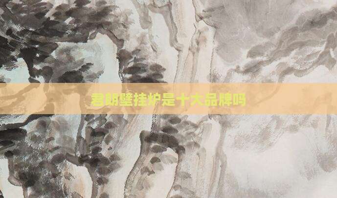 君朗壁挂炉是十大品牌吗