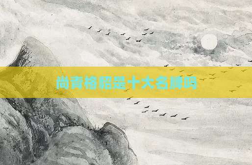 尚青格貂是十大名牌吗