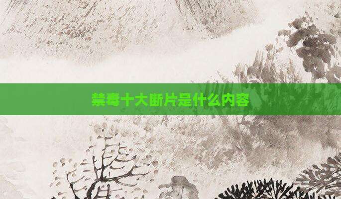 禁毒十大断片是什么内容