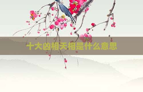 十大凶相天相是什么意思