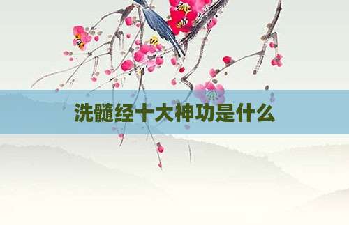 洗髓经十大神功是什么