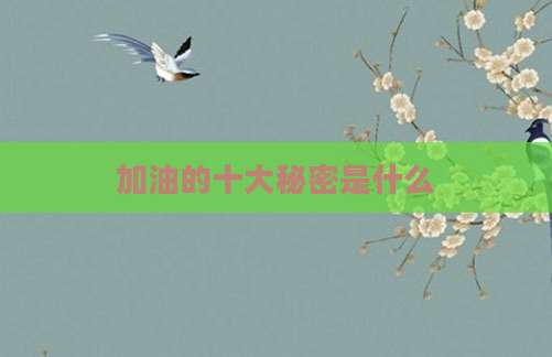 加油的十大秘密是什么