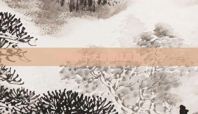 休赛期十大自由球员是