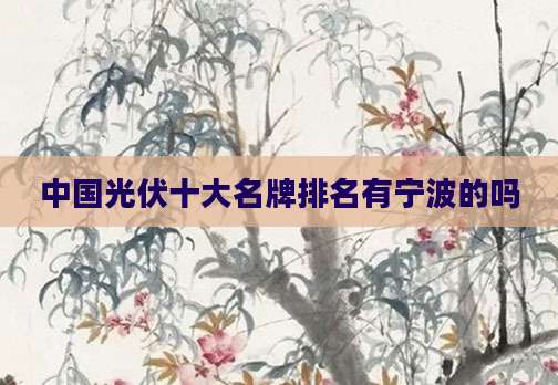 中国光伏十大名牌排名有宁波的吗