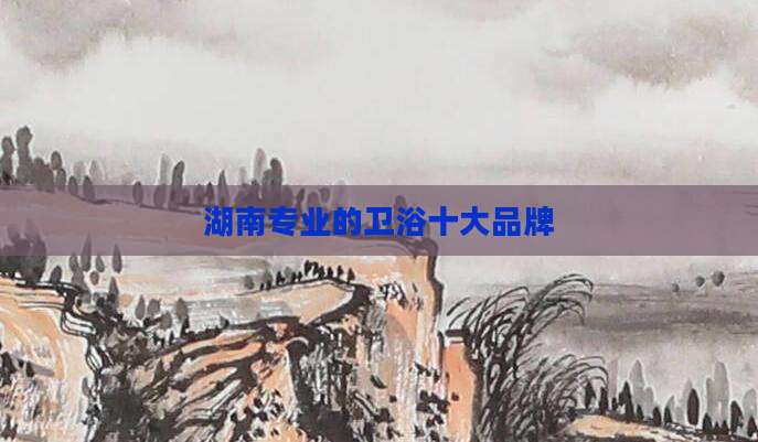 湖南专业的卫浴十大品牌