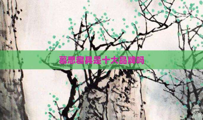 慕思寝具是十大品牌吗