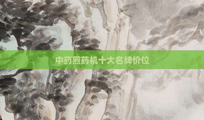 中药煎药机十大名牌价位