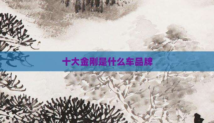 十大金刚是什么车品牌
