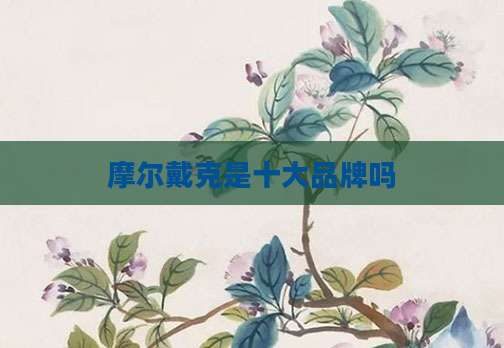 摩尔戴克是十大品牌吗