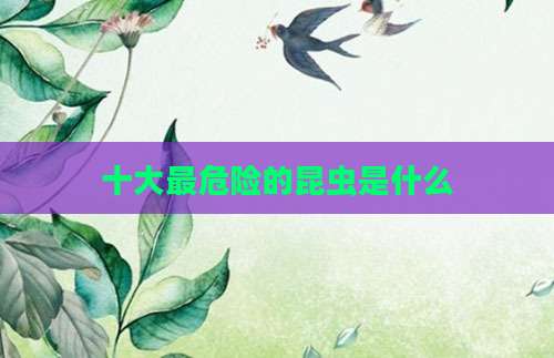 十大最危险的昆虫是什么