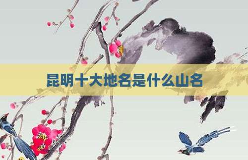 昆明十大地名是什么山名