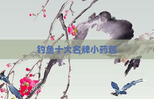 钓鱼十大名牌小药包