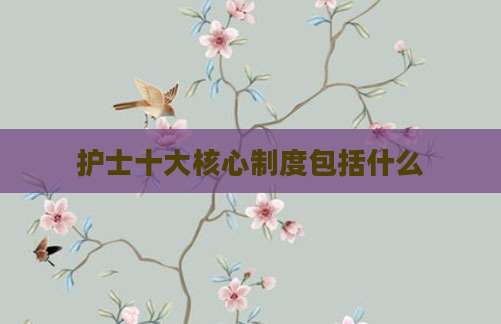 护士十大核心制度包括什么