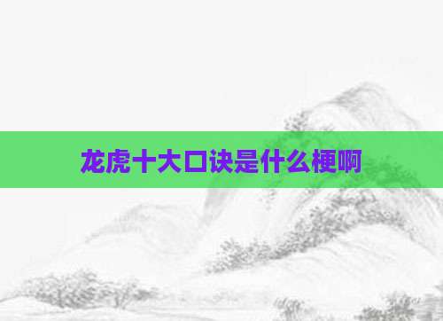 龙虎十大口诀是什么梗啊