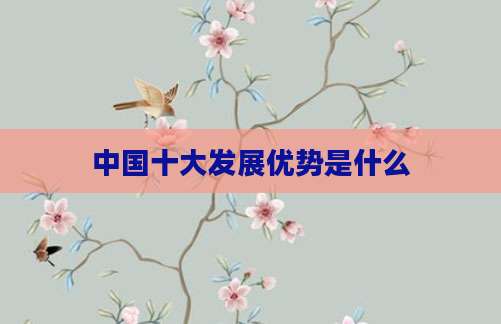 中国十大发展优势是什么