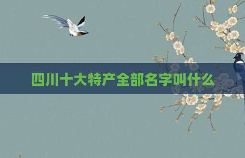 四川十大特产全部名字叫什么