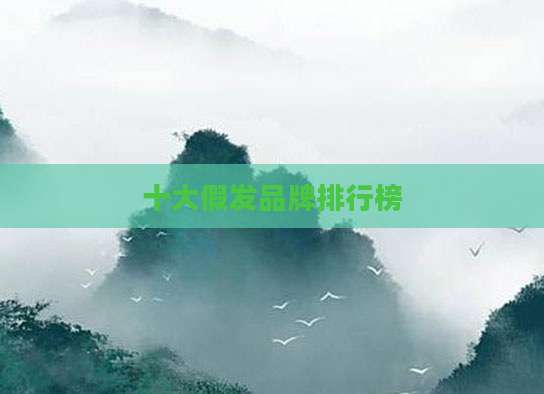十大假发品牌排行榜