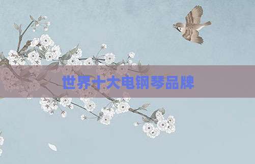 世界十大电钢琴品牌