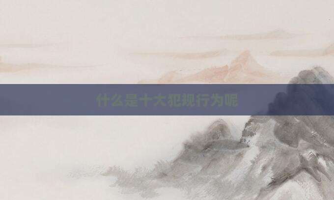 什么是十大犯规行为呢