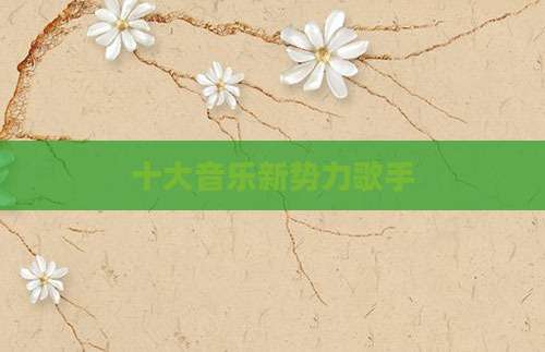 十大音乐新势力歌手