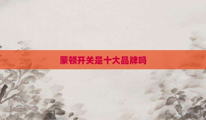 蒙顿开关是十大品牌吗