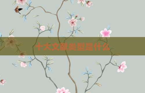 十大文献类型是什么