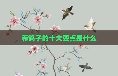 养鸽子的十大要点是什么