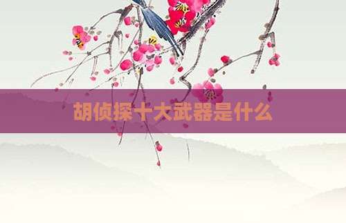 胡侦探十大武器是什么