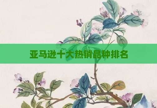 亚马逊十大热销品种排名