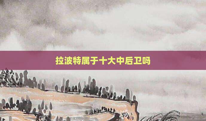 拉波特属于十大中后卫吗