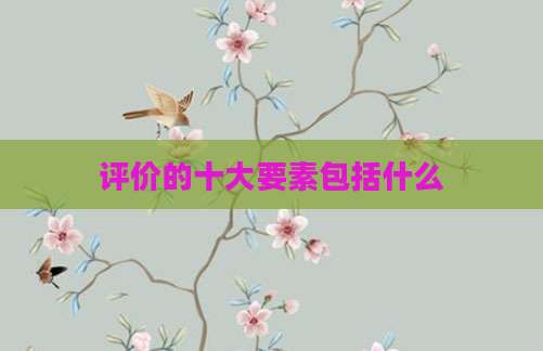评价的十大要素包括什么
