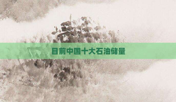 目前中国十大石油储量