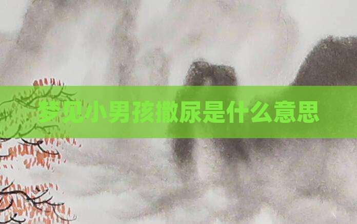 梦见小男孩撒尿是什么意思