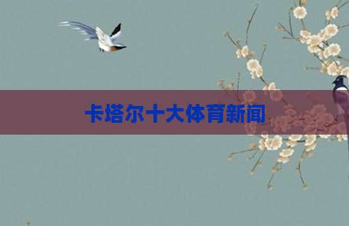 卡塔尔十大体育新闻