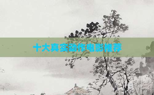 十大真实动作电影推荐