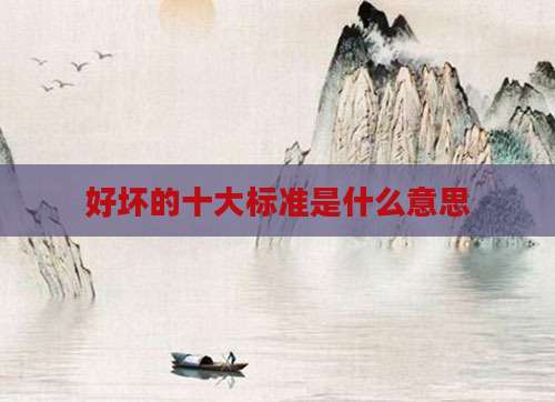 好坏的十大标准是什么意思