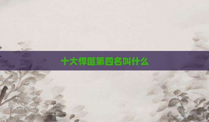 十大悍匪第四名叫什么