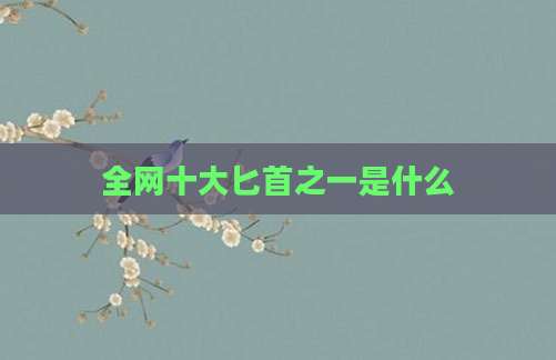 全网十大匕首之一是什么