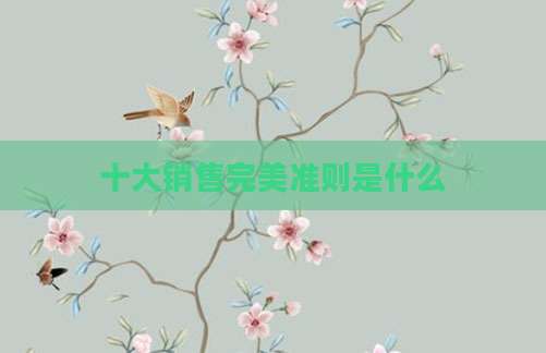 十大销售完美准则是什么